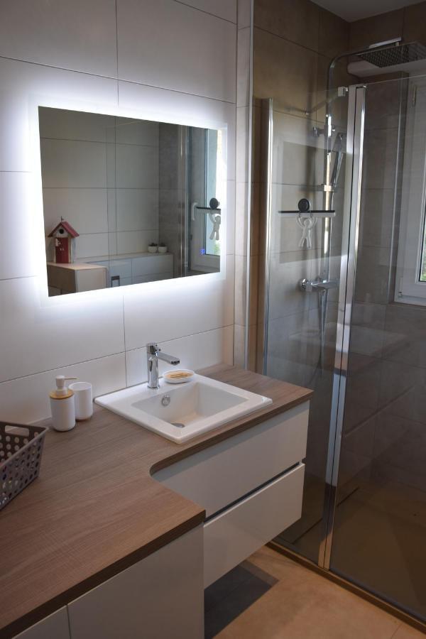 Appartement Chez Fabie Selestat Ngoại thất bức ảnh