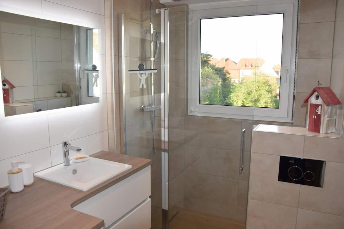Appartement Chez Fabie Selestat Ngoại thất bức ảnh