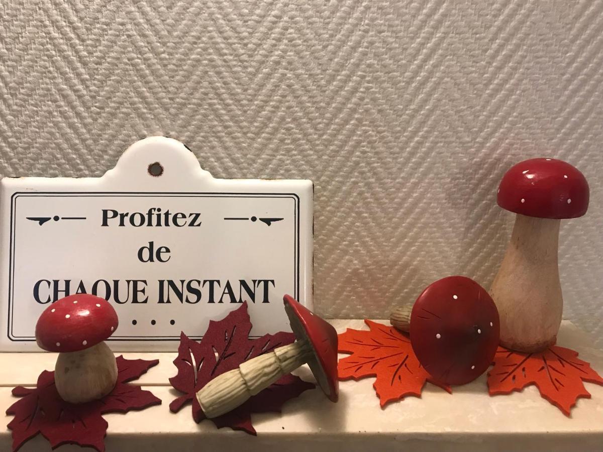 Appartement Chez Fabie Selestat Ngoại thất bức ảnh