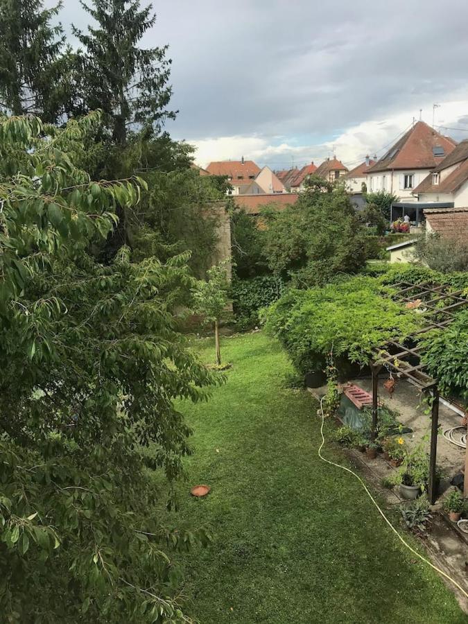 Appartement Chez Fabie Selestat Ngoại thất bức ảnh