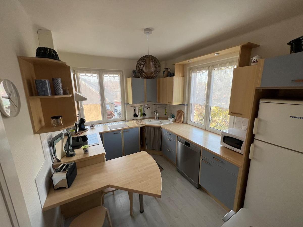 Appartement Chez Fabie Selestat Ngoại thất bức ảnh